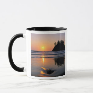 Caneca Praia Estadual de Trinidad, Califórnia. EUA. Mar