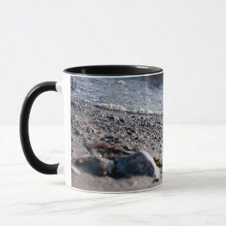 Caneca Praia fecha