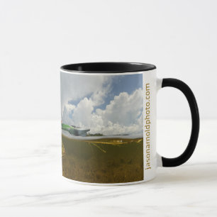 Caneca predadora dos salmonetess