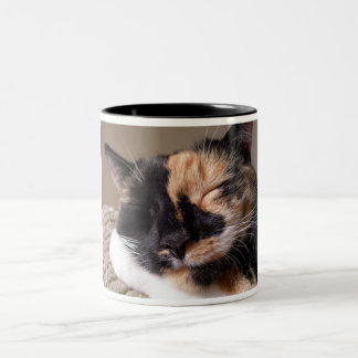Caneca preguiçosa do gato