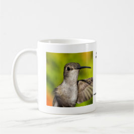 Caneca preta fêmea do colibri de Chin