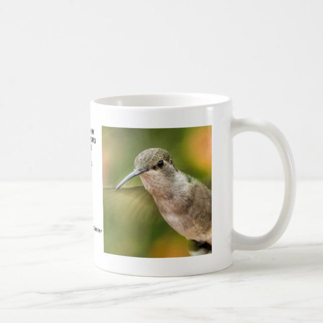 Caneca preta fêmea do colibri de Chin (Direita)