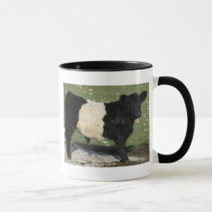 Caneca Preto bonito vitela cercada de Galloway
