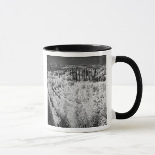 Caneca Preto e Branco de vinhas, Montepulciano, Itália