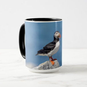 Caneca Puffin Atlântico em Machias, Maine