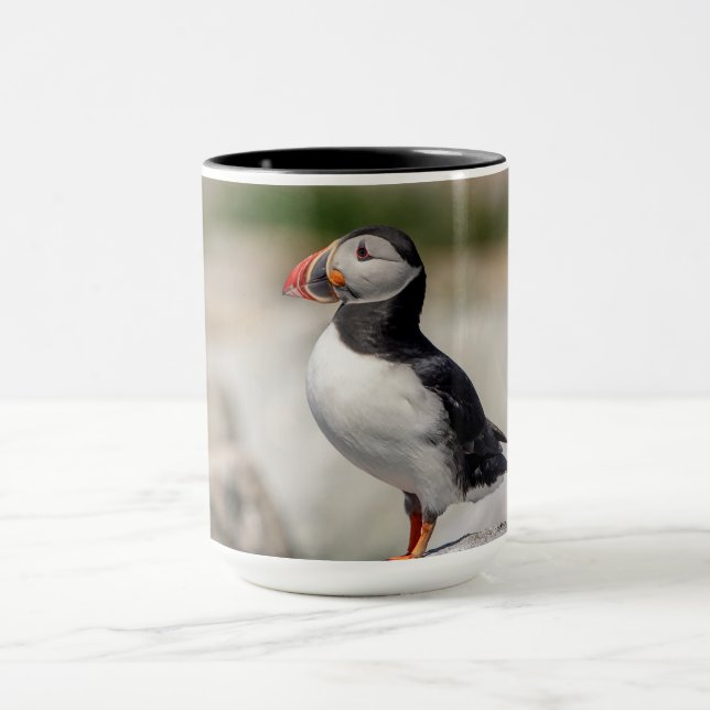Caneca Puffin Atlântico em Machias, Maine (Centro)