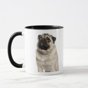Caneca Pug (13 meses velho) que olha acima
