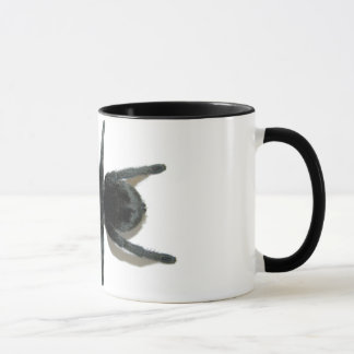 Caneca - pulchra de Grammostola (preto brasileiro)