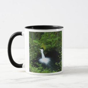 Caneca Punchbowl Falls em Eagle Creek, Rio Columbia