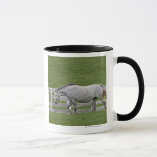 Caneca Puro-sangue e potro fêmeas dos jovens