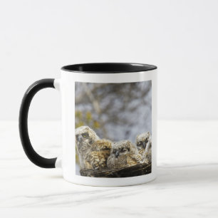 Caneca Quatro grandes pintinhos da coruja Horned (bubão