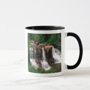 Caneca Quedas de Blackwater, Virgínia Ocidental, cênico,