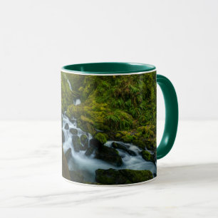 Caneca Quedas Parque Nacional da Olimpiadas, Washington