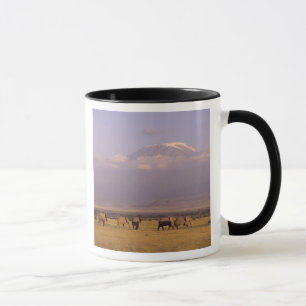Caneca Quênia: Parque Nacional de Amboseli, Elefantes