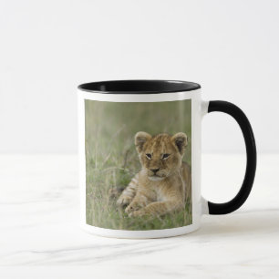 Caneca Quênia, Reserva de Caça Masai Mara. Leão Africano