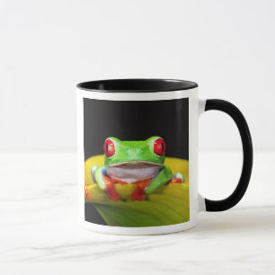 Caneca Rã-arbórea-de-olho-vermelho, Agalychinis callidrya