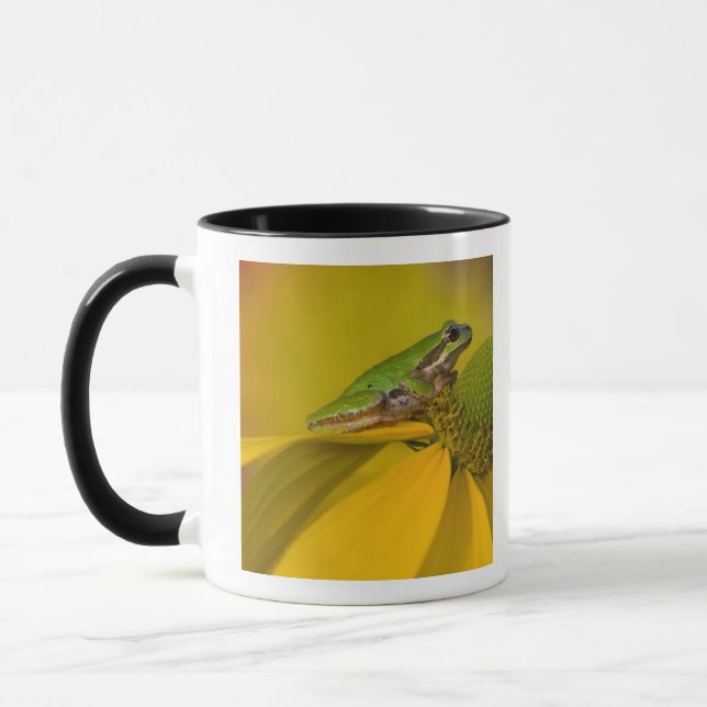 Caneca Rã-arbórea-do-pacífico em flores no nosso jardim (Esquerda)