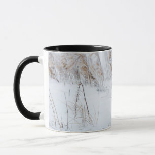 Caneca Raposa-do-Ártico