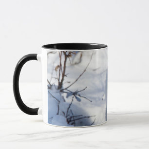 Caneca Raposa-do-ártico, Área de Manejo da Vida Selvagem