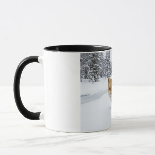 Caneca Raposa Vermelha de Inverno - Cerâmica de Vi