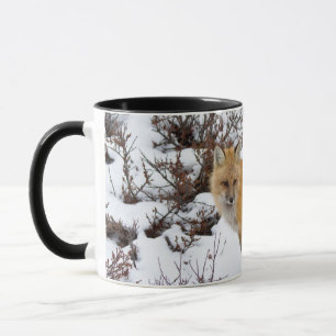 Caneca Raposa Vermelha na neve no inverno