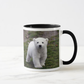 CANECA RASGO KNUT
