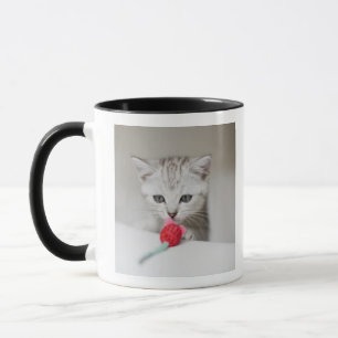 Caneca Rato de cheiro do brinquedo do gatinho britânico