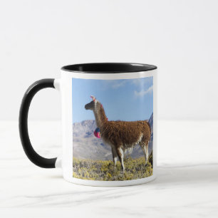 Caneca Rebanho de lamas decorados na Puna, cordilheira do