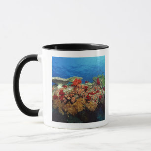 Caneca Recife cénico de corais duros, corais macios