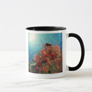 Caneca Recife cénico de corais duros, corais macios 2