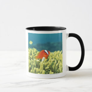 Caneca Recife de corais aguaceiro com peixes tropicais