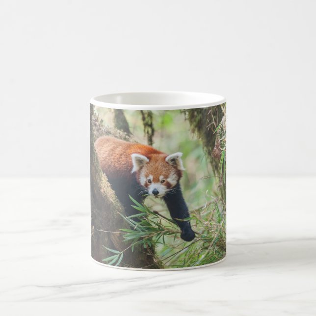 Caneca Red Panda (Centro)