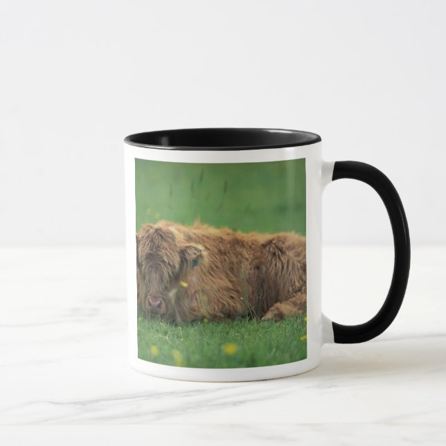 Caneca Reino Unido, Escócia. Bezerro das Terras Altas (Direita)
