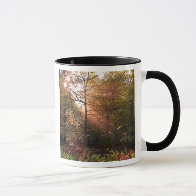 Caneca Reino Unido. Floresta de Dean. Feixe de sol que pe (Direita)