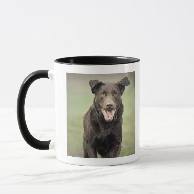 Caneca Reino Unido, Inglaterra, Suffolk, floresta de (Esquerda)