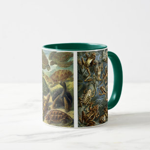 Caneca Répteis e Anfíbios Antigos por Ernst Haeckel