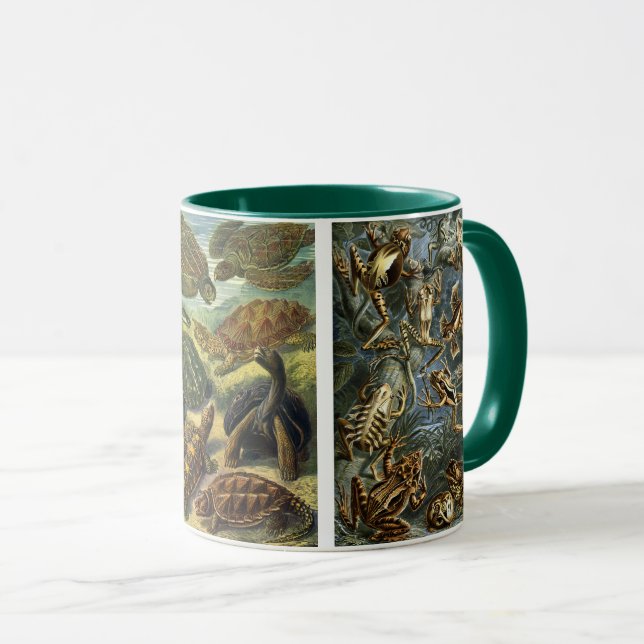 Caneca Répteis e Anfíbios Antigos por Ernst Haeckel (Frente Esquerda)