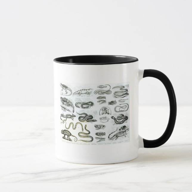 Caneca Répteis, serpentes e lagartos (Direita)