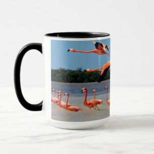 Caneca Reserva da biosfera de Celestun