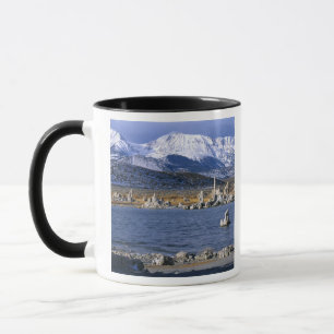 CANECA RESERVA NATURAL DO ESTADO DE MONO LAKE TUFA,