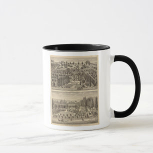 Caneca Residências de Webster, Badger
