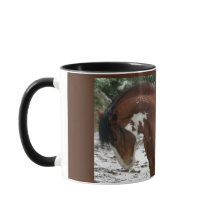 Retrato de Cavalo com Nome