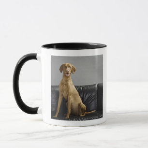 Caneca Retrato de um cão