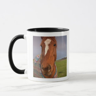 Caneca Retrato de um cavalo com um arco-íris no céu