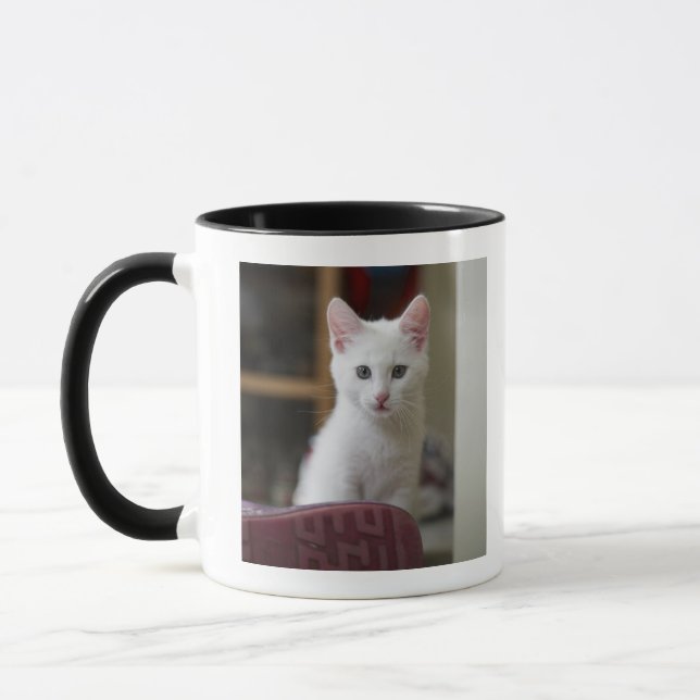 Caneca Retrato de um gatinho branco, Sweden. (Esquerda)