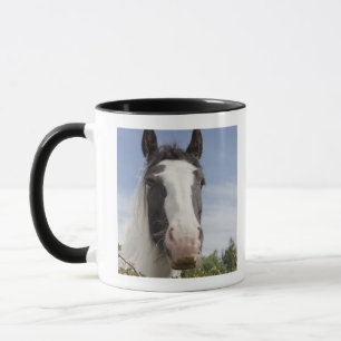 Caneca Retrato do cavalo de Clydesdale