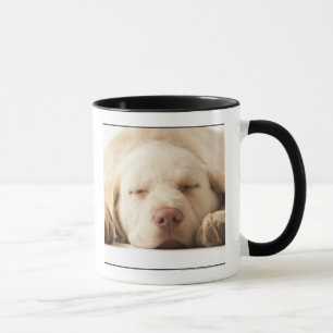 Caneca Retrato do estúdio de labrador retriever amarelo