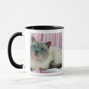 Caneca Retrato do gato 4