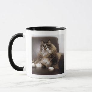 Caneca Retrato do gato que senta-se na cadeira