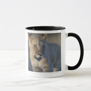 Caneca Retrato do leão Cub (Panthera Leo), Namíbia